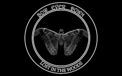 Lost in the Woods
