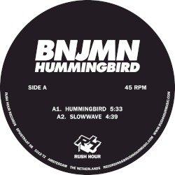 Hummingbird