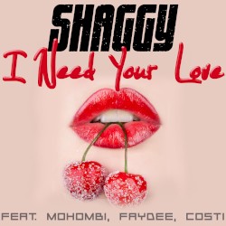 I Need Your Love