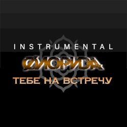 Тебе на встречу (Instrumental)