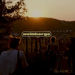 Weinberge