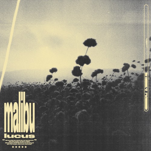 Malibu