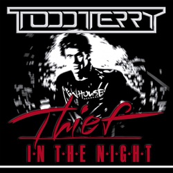 Thief In The Night