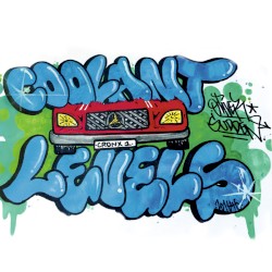 Coolant Levels