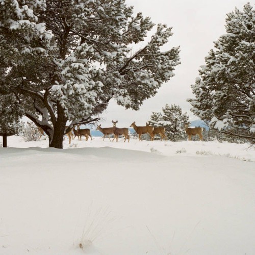 The (sleigh) ride never ends
