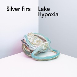 Lake Hypoxia