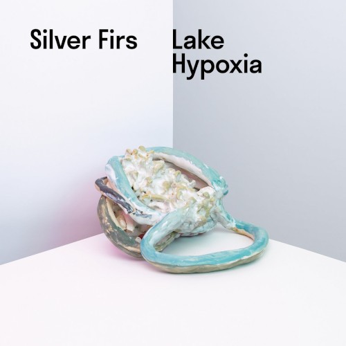 Lake Hypoxia