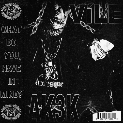 WHAT DO YOU HAVE IN MIND?