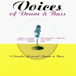 Voices of Drum & Bass