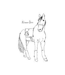 Whirlaway the Horse