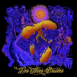Les ailes brulées