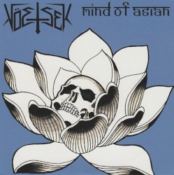Mind Of Asian / Vöetsek