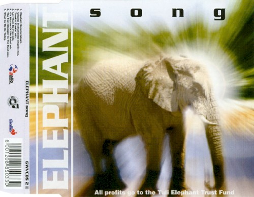 Elephant Song