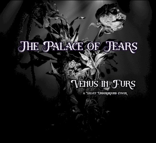 Venus In Furs