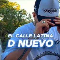 D NUEVO