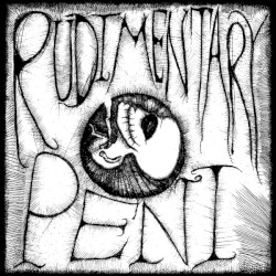 Rudimentary Peni