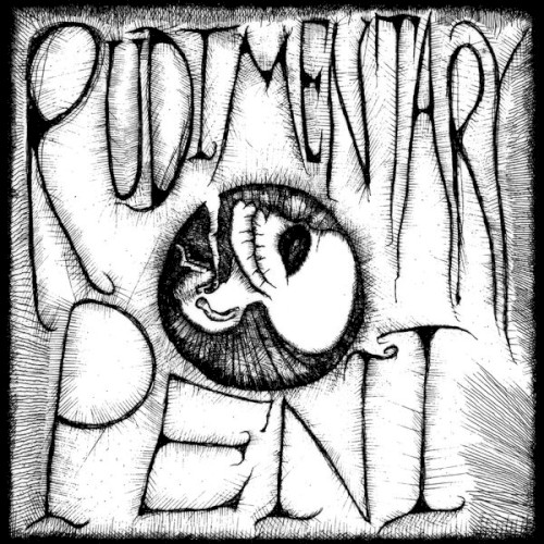 Rudimentary Peni