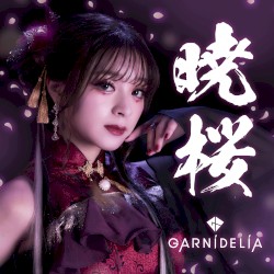 暁桜