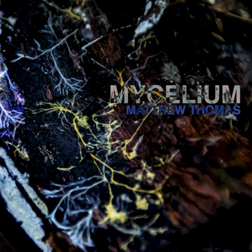 mycelium