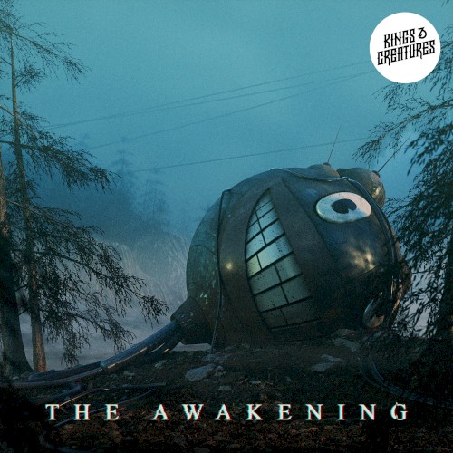 The Awakening