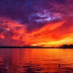 Sunset Valley