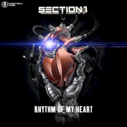 Rhythm of My Heart