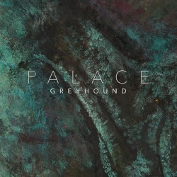 Greyhound