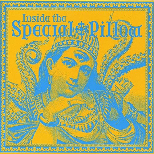 Inside the Special Pillow