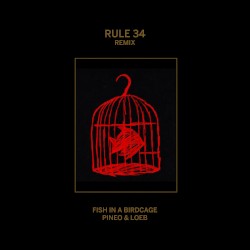 Rule #34 (Remix)