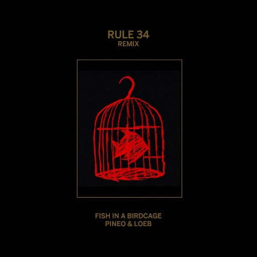 Rule #34 (Remix)