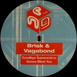 Goodbye Summertime / Gonna Blind You