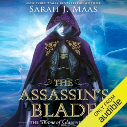 The Assassin’s Blade: The Throne of Glass Novellas