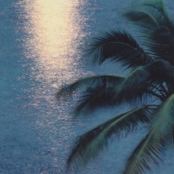 Dawn