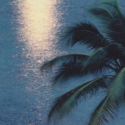 Dawn