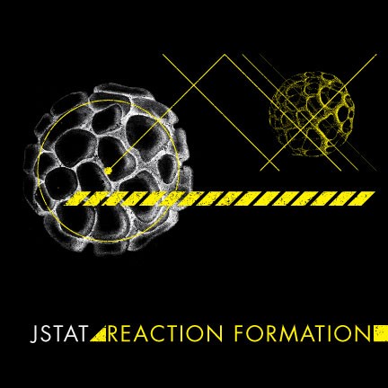 Reaction Formation