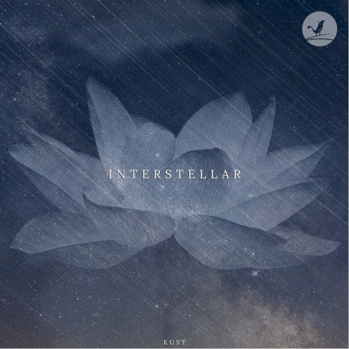 Interstellar