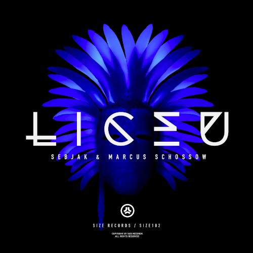 Liceu