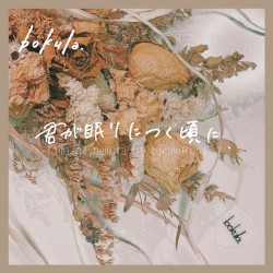 君が眠りにつく頃に.