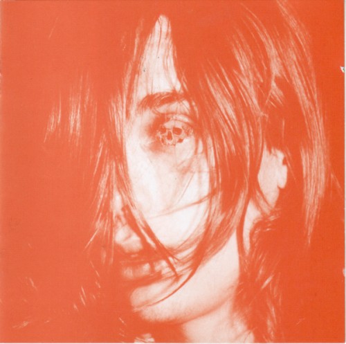 Microcastle / Weird Era Cont.
