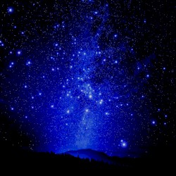 I Fell Into The Unknown Light