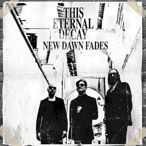 New Dawn Fades