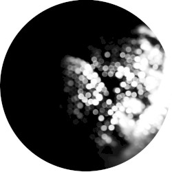 Seventh Disco