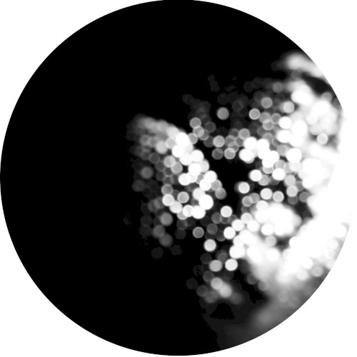 Seventh Disco