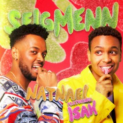 Seigmenn