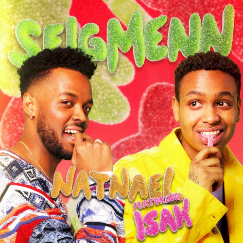 Seigmenn