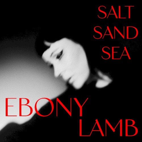 Salt Sand Sea