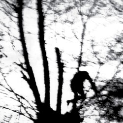 Camouflage Heart