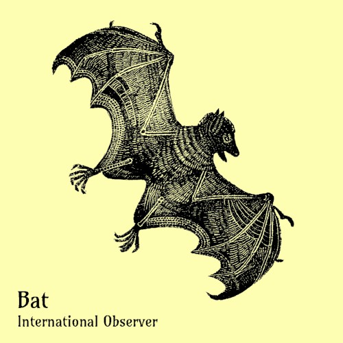 Bat