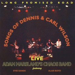 Long Promised Road: Songs of Dennis & Carl Wilson