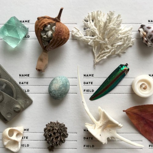 Flotsam Jetsam